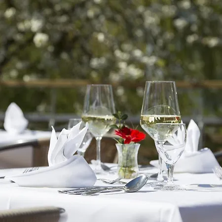 Hotell Pilgerhof Und Rebmannshof Uhldingen-Mühlhofen