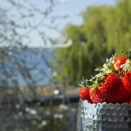 Hotel Pilgerhof Und Rebmannshof Uhldingen-Mühlhofen